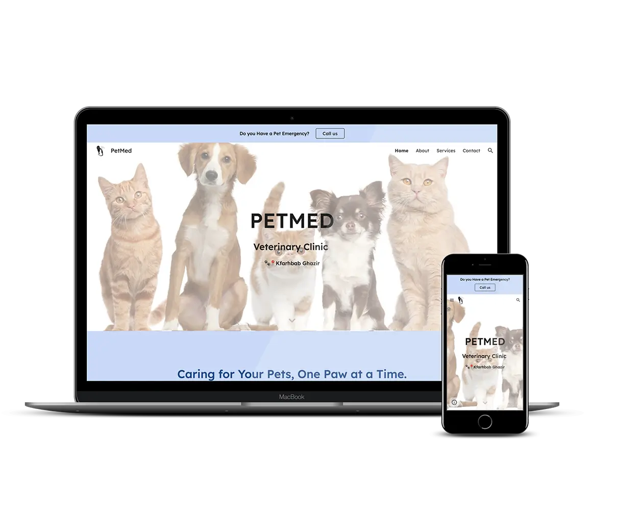 Petmed Vet